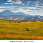 探索Settphel:揭示其背后的神秘与魅力 3t1l2c5